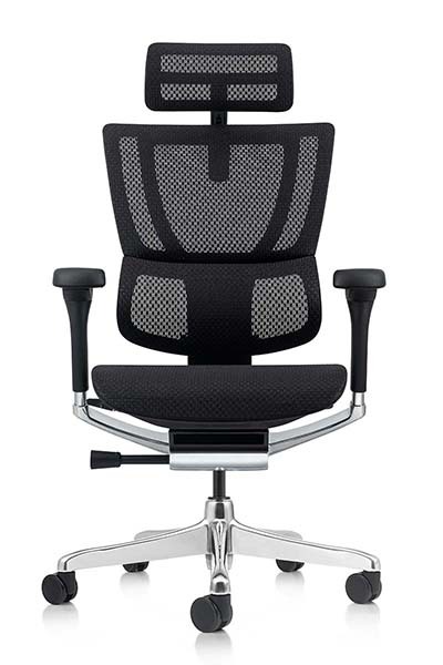 Ergohuman Extreme Hi-Back Mesh Exec Office Chair w/ Headrest