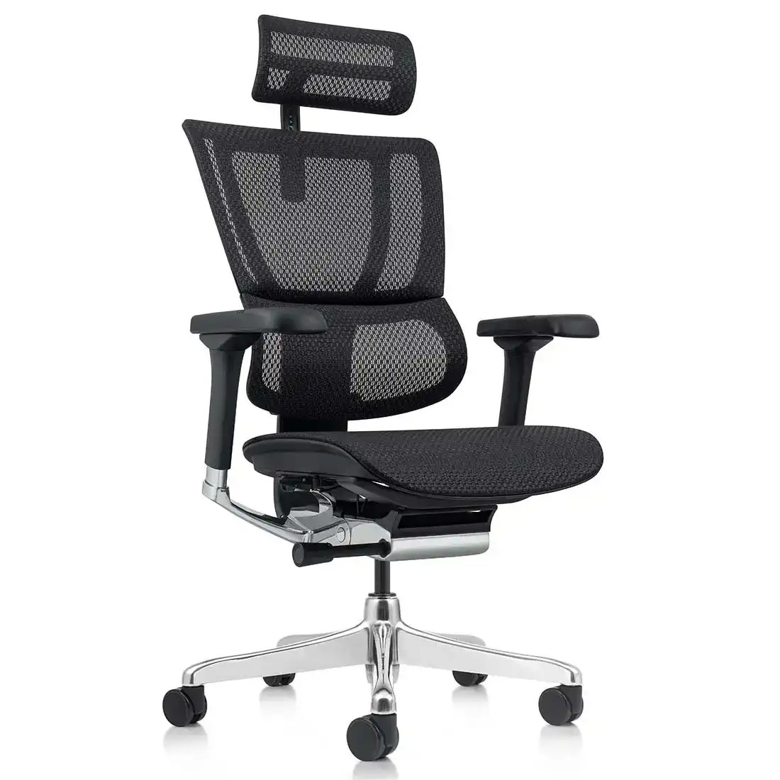 ErgoHuman Xtreme High-Back All Mesh Executive Chair with Headrest