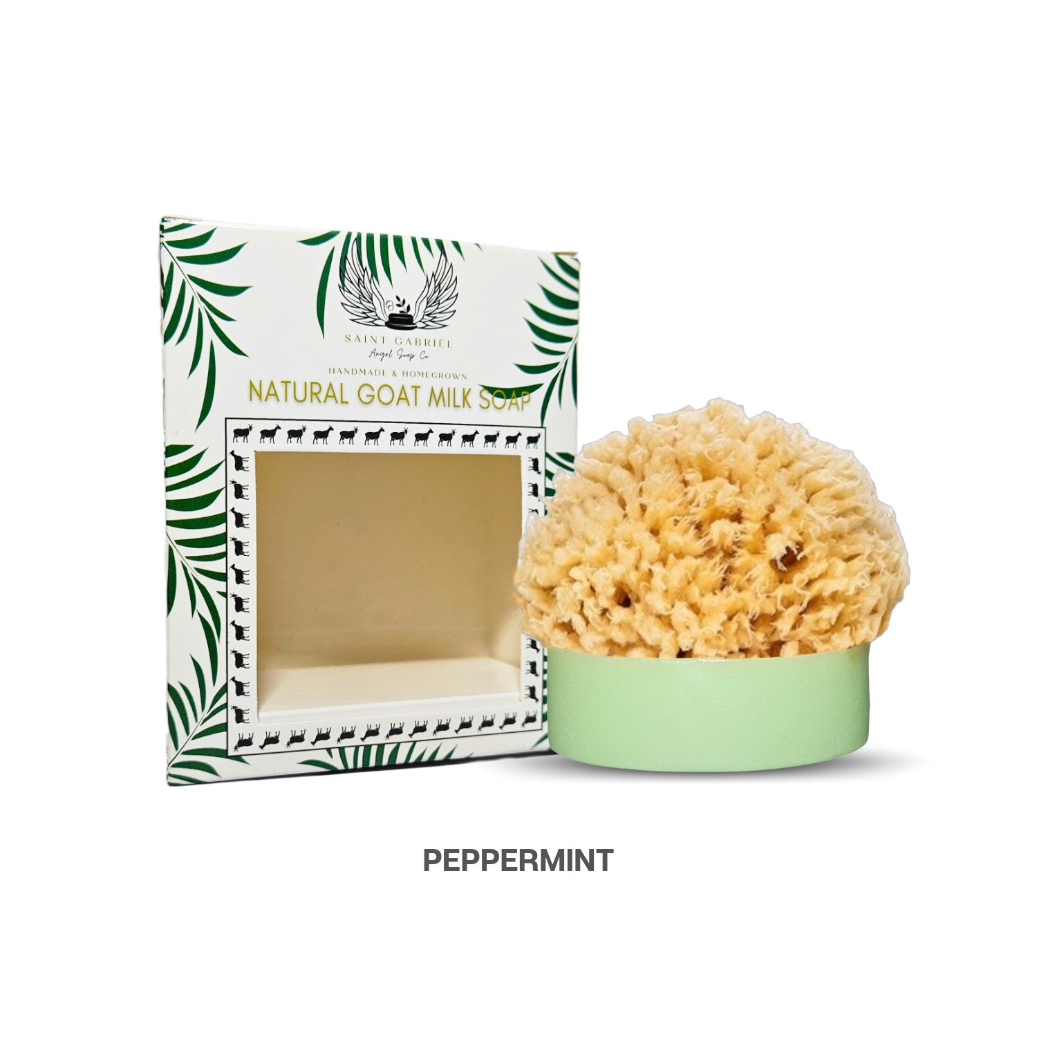 Soap & Sponge