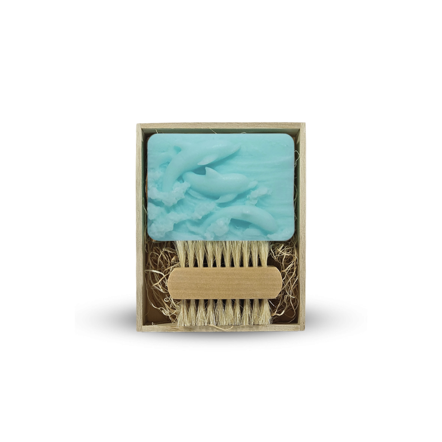 Boy's Dolphin Set