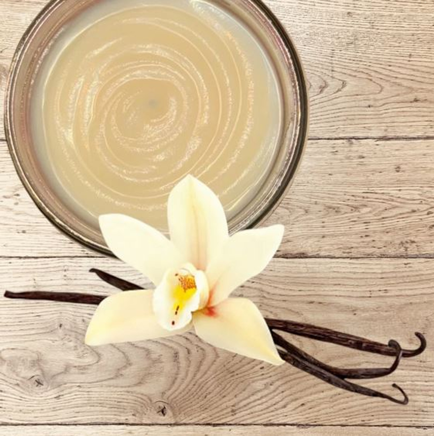 Tallow Lotion Vanilla