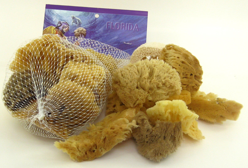 Natural Sea Sponges Page 1 The Sponge Factory