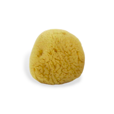 Caribbean Silk 2"-3" Forms