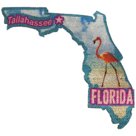 S-5177 Florida Patch