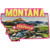 S-5194 Montana Patch