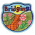S-5689 Bridging Patch