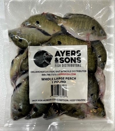 A&S Whole Large Perch 3"-5" 1 Pound Vacuum Sealed Zipper Bag / 8 or 15 Count Case with Expedited Shipping