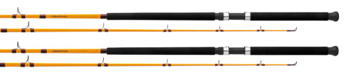 Daiwa 10' Boat & Surf Conventional Rod FTB701MHF