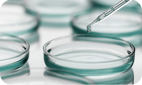 Elaboración y preparación de formulación magistral y medicamentos personalizados