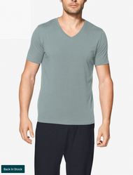 TJ Second Skin V-Neck Tee