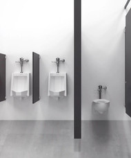 What is a Flushometer?