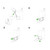DYP-965395-01_Inv-2.jpg