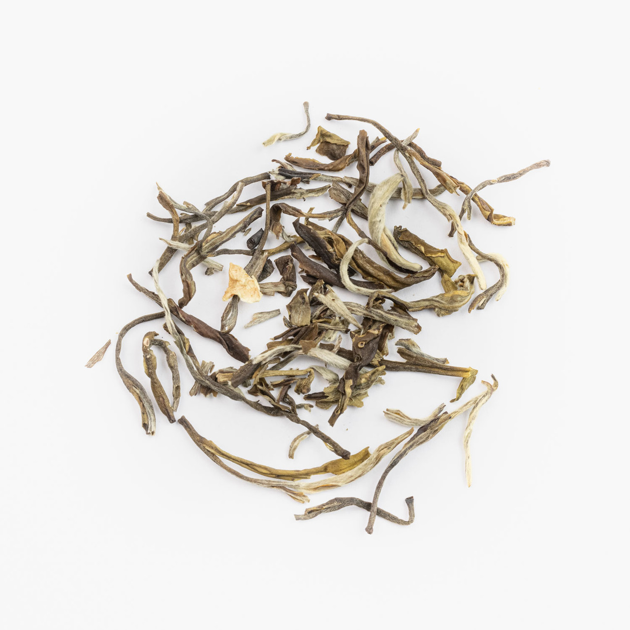 Jasmine Silver Needle White Sun's Organic Garden