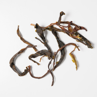 Da Xue Shan Wild Tree Sheng Pu'erh - Early Spring 2021