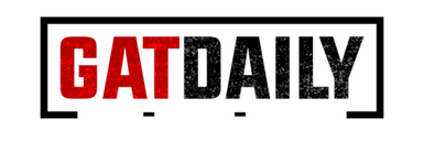 New Writeup on GatDaily