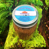 Sea Moss Gel  (SOLD OUT)