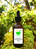 Lemon Balm Tincture 