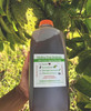 Soursop Leaf Tea 