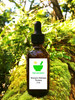 Women's Wellness Tincture