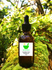 Dandelion Root Tincture 