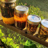 Pure Organic Cold Pressed Black Seed Oil 