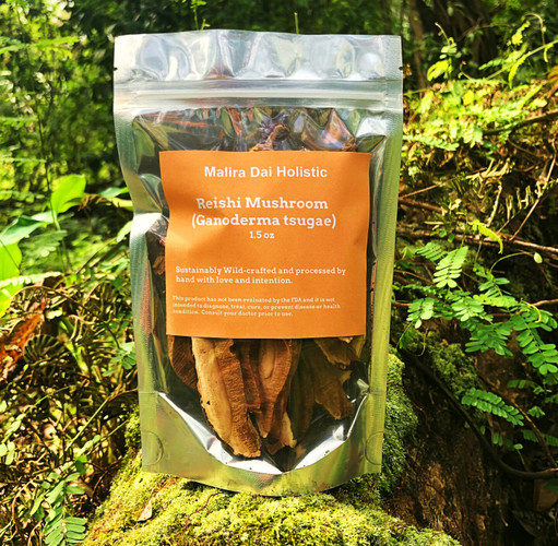 Medicinal Mushrooms