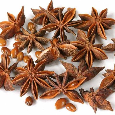 Anise Star  (Illicium verum)