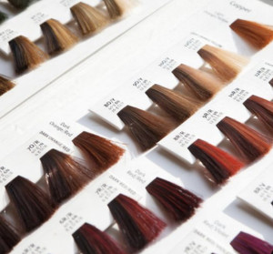 Cut/Color Consultation