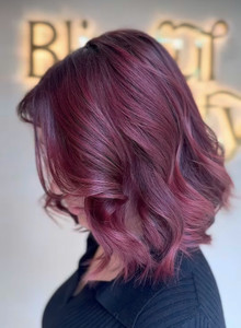 All Over Color + Haircut