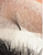 Lash Removal