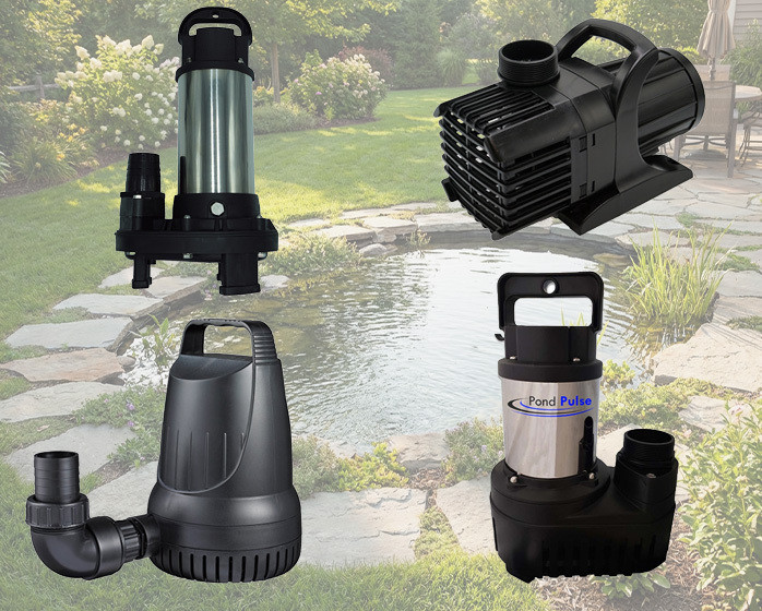 Backyard pond landscape