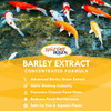 Barley Extract Pond Treatment – 32 oz. Bottle