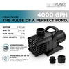 Savio 4000 10' x 20' EPDM Waterfall Kit