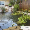 Simply Ponds 2100 15' x 15' EPDM Pond Kit- XSH1