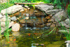 LumiNight Pond and Landscape Lighting - LR-48 Light Ring for Submersed and Floating Fountains - 48-W-LEDFLR