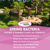 Spring Bacteria 16 oz. Bottle - H2OP-SB016OZ