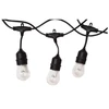 LumiNight Cafe Hanging String Lights - Color-Changing LED, 6-Watt Total - LMCSL12X0.5W-KIT