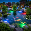 LumiNight Pond and Landscape Lighting - 3-Watt Color Changing Rock Light Kit with Photocell, Transformer and Remote - CCRL3W-KIT