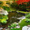 PondBuilder Elite 10,500 50' x 50' EPDM Pond Kit- MP6