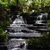 Waterfall feature in wooded area