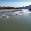 1.5 HP Floating Fountain - 12,500 GPH Submersible Pump - 200 ft Cord - 11 Spray Patterns, Color-Changing Lights & Control Box