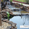 PondBuilder Elite 6100 20' x 25' PVC Pond Kit- PVCXLP8
