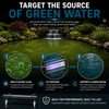 Shock Wave Stainless Steel 80-Watt in-Line Clarifier