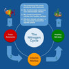 The Nitrogen Cycle diagram showing four stages: toxic ammonia from decomposing fish waste, bio comb breaking ammonia into intermediate nitrites, bacteria converting nitrites into healthy nitrates, and nitrates releasing nitrogen as nutrients for aquatic plants. Illustrated with colorful fish and aquatic plants on a blue background.