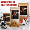 Grow Pro vs Show & Grow koi food comparison chart with gold koi and red and white koi showing 40% vs 35% protein, growth formula, and color enhancement features