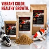 Half Off Ponds Show & Grow koi color enhancing food bags with pellets and koi