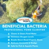 Beneficial Bacteria Pond Treatment – All Sizes