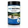 RPB-32OZ - Pro Bacteria 32 oz. Powder Pond Booster Treatment - RPB-32OZ