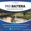 Pro Bacteria Pond Booster Treatment