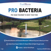 Pro Bacteria Pond Booster Treatment – All Sizes